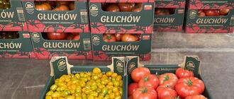 Pomidory z gospodarstwa braci Chrzanów w Głuchowie