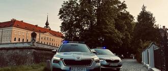 Fot. Straż Miejska Rzeszów (Fb)