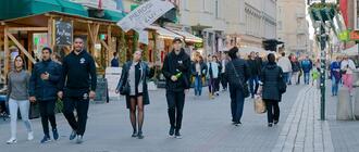 Fot. ilustracyjne (pixabay/CC0)