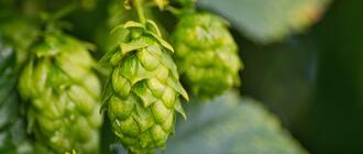 Fot. ilustracyjne (pixabay/CC0)