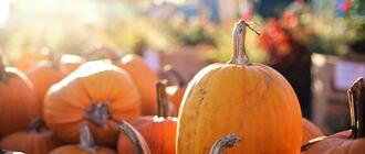 Fot. ilustracyjne (pixabay/CC0)