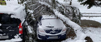 Fot. PSP w Przeworsku