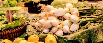 Fot. ilustracyjne (pixabay/CC0)