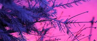 Fot. ilustracyjne (pixabay/CC0)