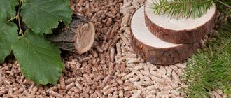 Fot. IGU OZE i Polskiego Przemysłu