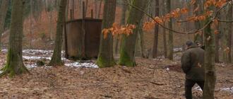 W sanockim Muzeum Budownictwa Ludowego powstanie sektor leśny?