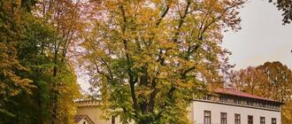 Fot. materiały prasowe