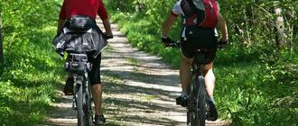 Fot. ilustracyjne (pixabay/CC0)