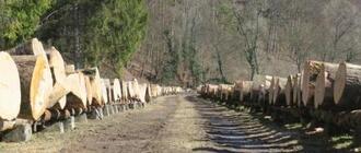 I już... po XXVII Submisji Drewna &bdquo;Krosno 2026&rdquo;