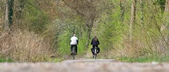 Fot. ilustracyjne (pixabay/CC0)