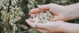 Fot. ilustracyjne (pixabay/CC0)