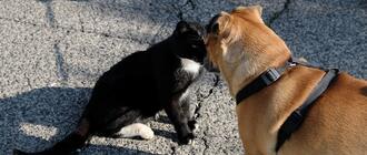 Fot. ilustracyjne (pixabay/CC0)