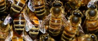 Fot. ilustracyjne (pixabay/CC0)