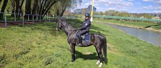 Konne patrole policji na rzeszowskich bulwarach