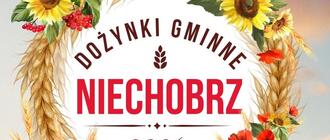 Dożynki Gminy Boguchwała w Niechobrzu