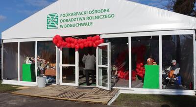 Fot. PODR Boguchwała