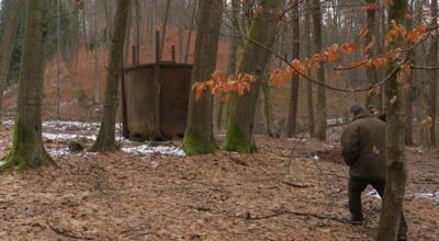 W sanockim Muzeum Budownictwa Ludowego powstanie sektor leśny?