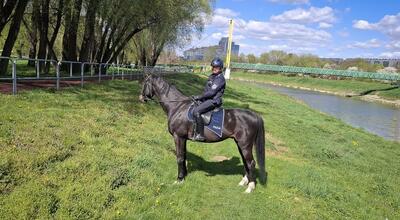 Konne patrole policji na rzeszowskich bulwarach