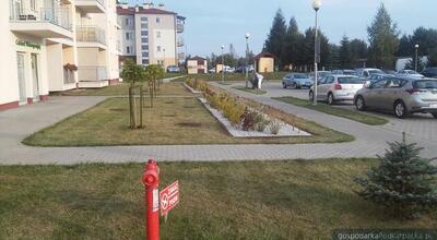 Fot. TBS Boguchwała