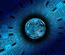 Fot. Pixabay/CC0
