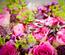 Fot. ilustracyjne (pixabay/CC0)