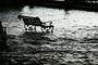Fot. Pixabay/CC0