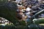 Fot. Pixabay/CC0