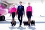 Praca w liniach Wizz Air w Polsce