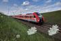 Fot. Polregio