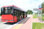 Fot. ilustracyjne (MKS Mielec)