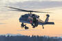 Black hawk. Fot. Michał Adamowski (ze strony PZL Mielec)