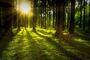 Fot. pixabay/CC0