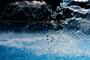 Fot. Pixabay/CC0