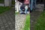 Fot. policja