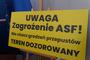 Część gminy Trzebownisko objęta strefą zakażenia ASF
