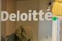 Fot. Deloitte