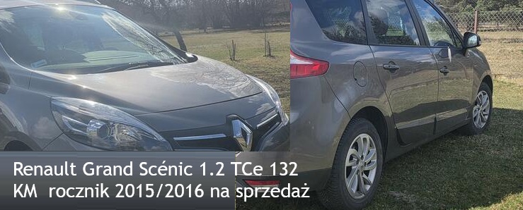 Renault na sprzedaż