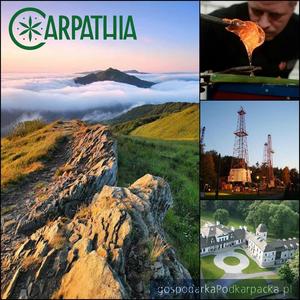 test Promocja marki Carpathia