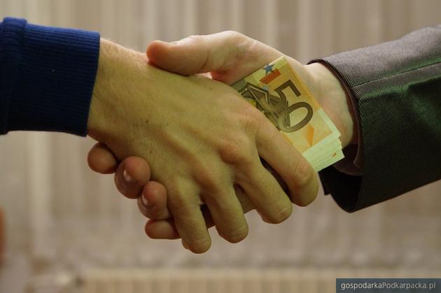 test Fot. Pixabay/CC0