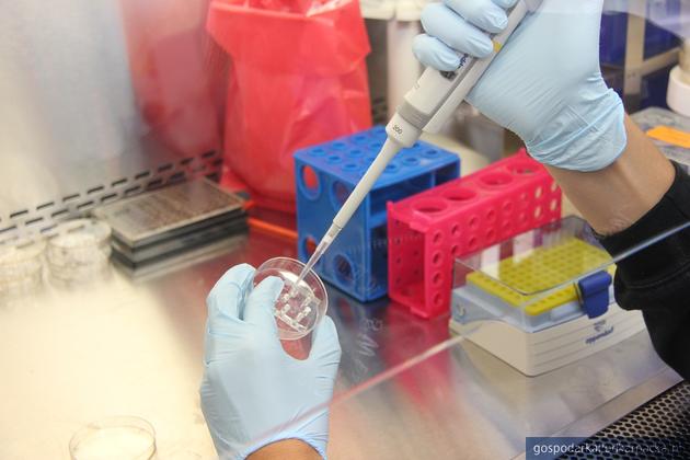 test Fot. Pixabay/CC0