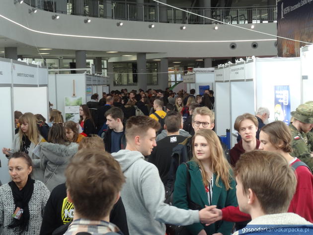 test Targi Pracy WorkExpo 2019