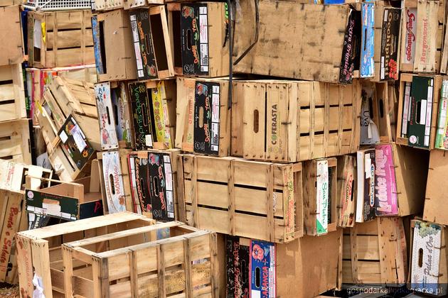 Bezpłatne szkolenie „Funkcjonowanie Bazy danych o produktach i opakowaniach oraz o gospodarce odpadami”