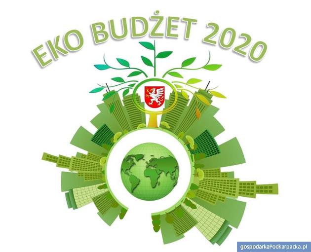 Dębica będzie miała sw&oacute;j eko-budżet?