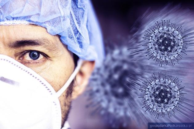 test Fot. Pixabay/CC0