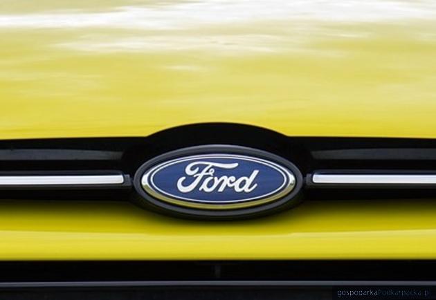 test Fot. Pixabay/CC0