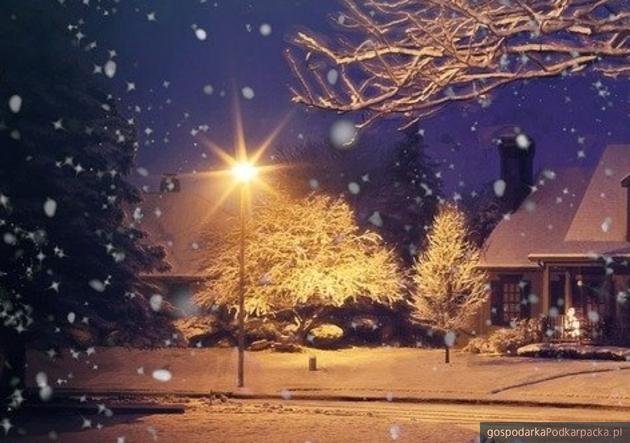 Zdjęcie ilustracyjne. Fot. Pixabay/CC0