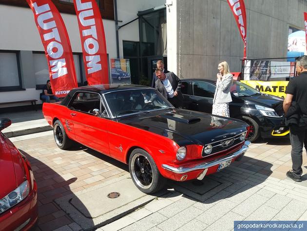 Zabytkowe samochody w Boguchwale - Motoshow 2023