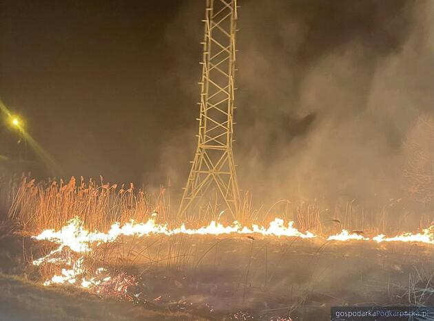 Fot. straż pożarna