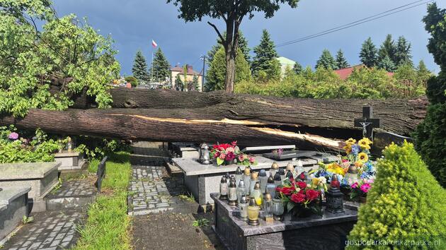 Fot. Gmina Strzyżów - Facebook