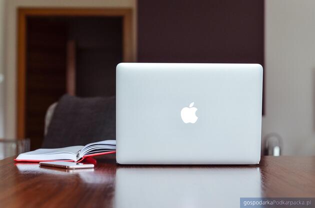 test Fot. pixabay/CC0